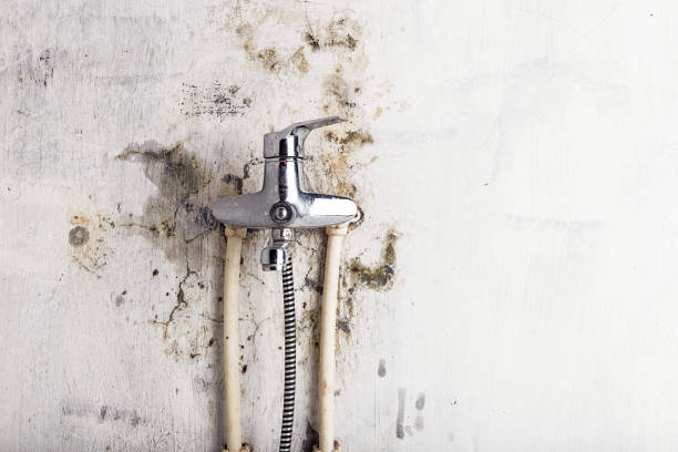 Best Mold Testing  in Howe, TX