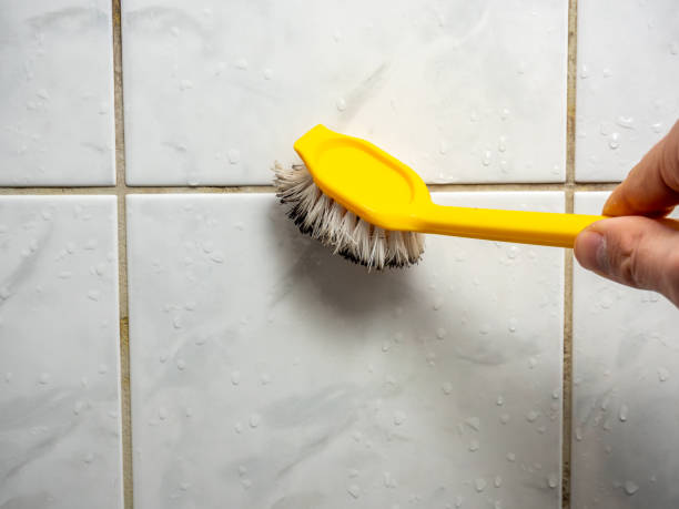 Professional Mold Removal in Howe, TX