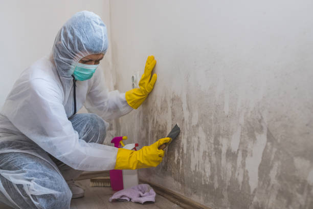 Water Damage Restoration in Howe, TX