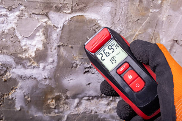 Mold Testing and Removal in Howe, TX