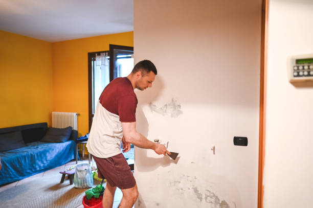  Howe, TX Mold Removal Pros